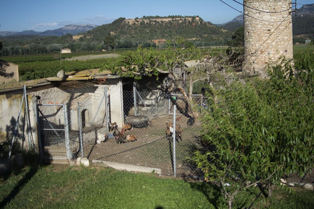 Benissanet Mas Taniet Hotel Rural المظهر الخارجي الصورة